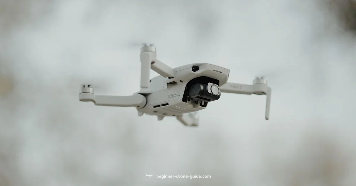 Drone Habitats Drone Habitats - Beginner Drone Guide