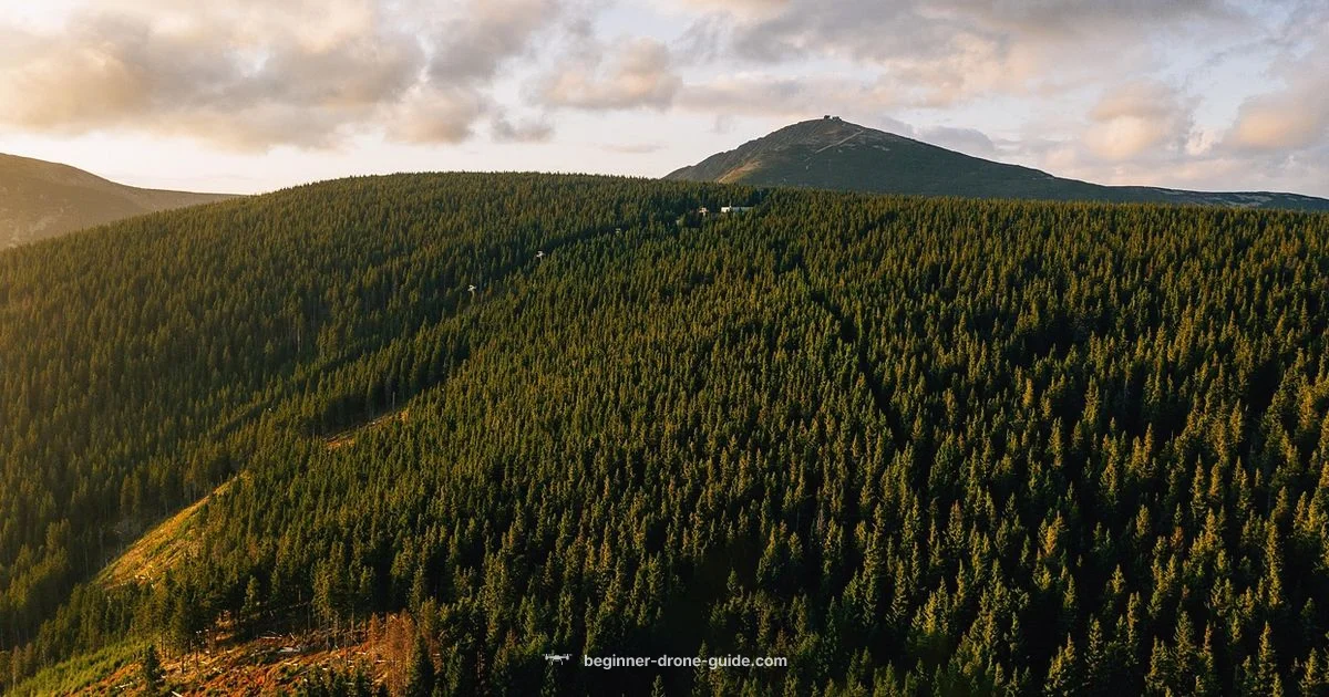 License Renewal Guide License Renewal Guide - Beginner Drone Guide