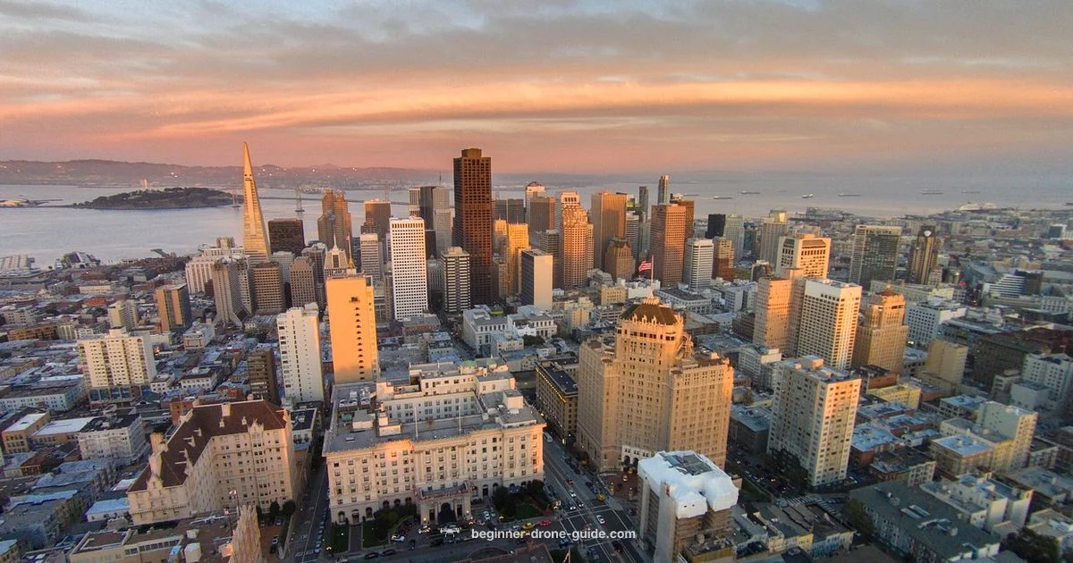 Drones & Bans - Beginner Drone Guide