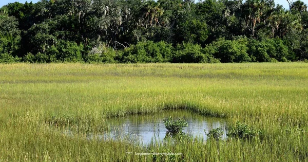 Florida Drone Fishing - Beginner Drone Guide