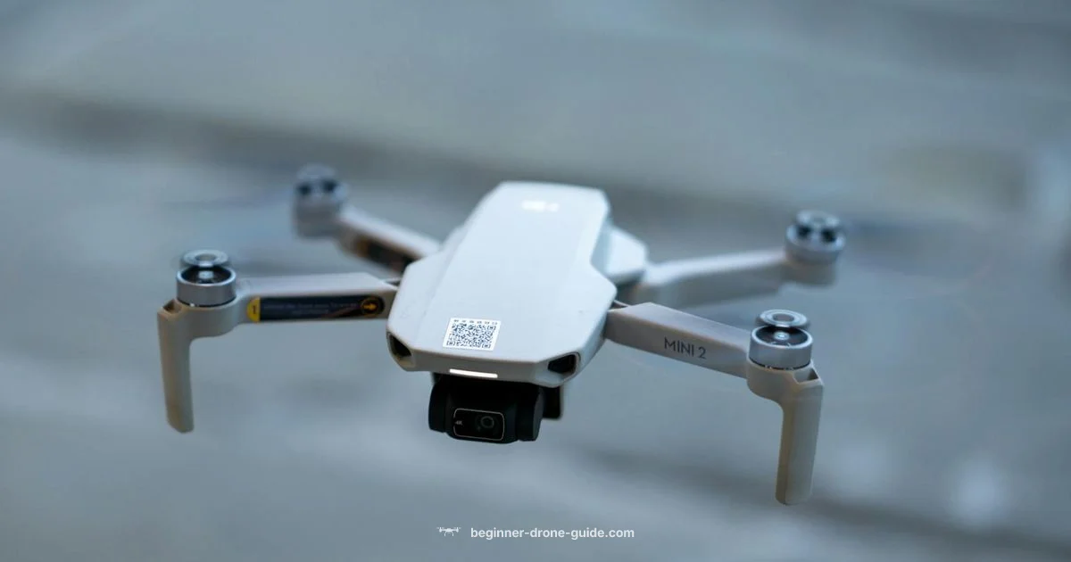 Biggest Drones - Beginner Drone Guide