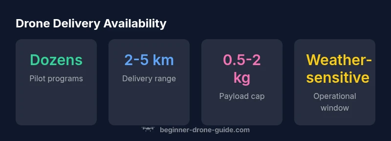 Infographic showing drone delivery availability by region