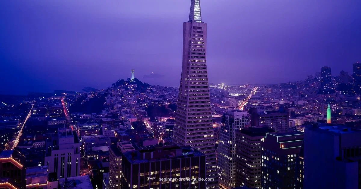 Drone Show Guide Drone Show Guide - Beginner Drone Guide