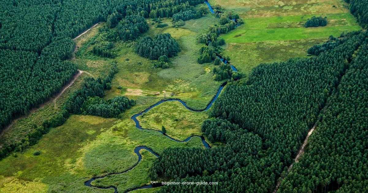 Scrabble Word Check - Beginner Drone Guide