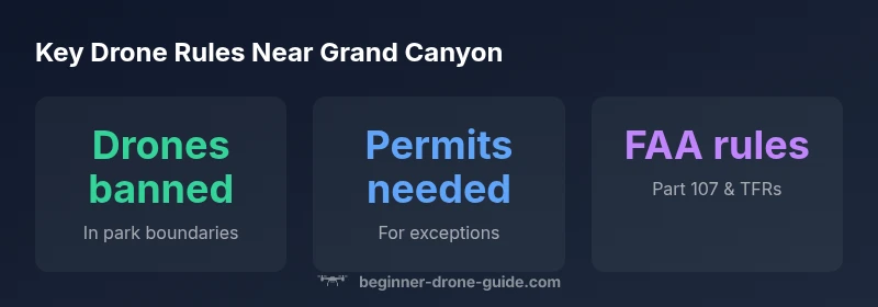 Drone regulations near Grand Canyon infographic