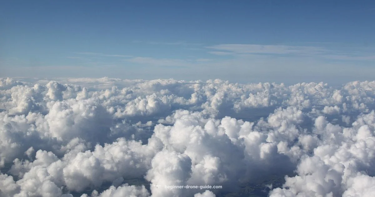 Top Drone Picks 2026 Top Drone Picks 2026 - Beginner Drone Guide