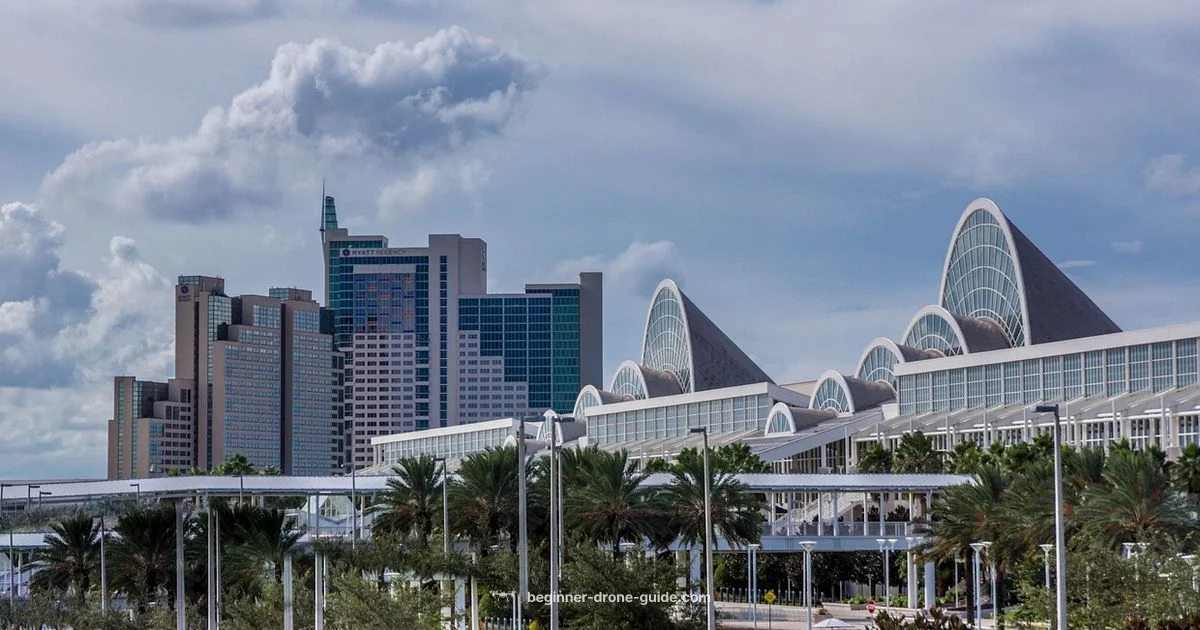 Orlando Drone Show - Beginner Drone Guide