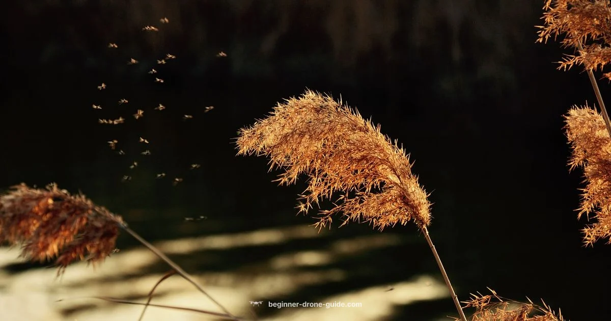 Return-to-Home Safety - Beginner Drone Guide