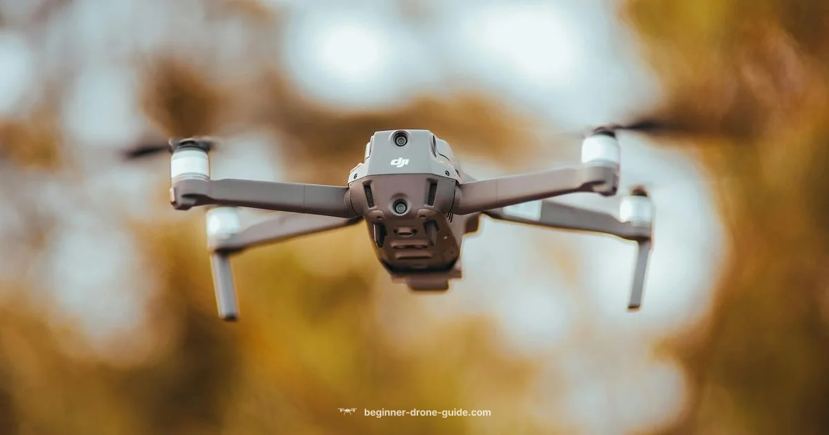 Rent Smart Drone Rent Smart Drone - Beginner Drone Guide