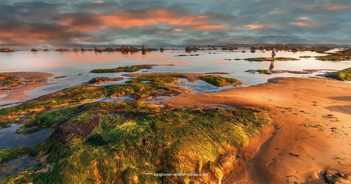 Top Photo Drones - Beginner Drone Guide