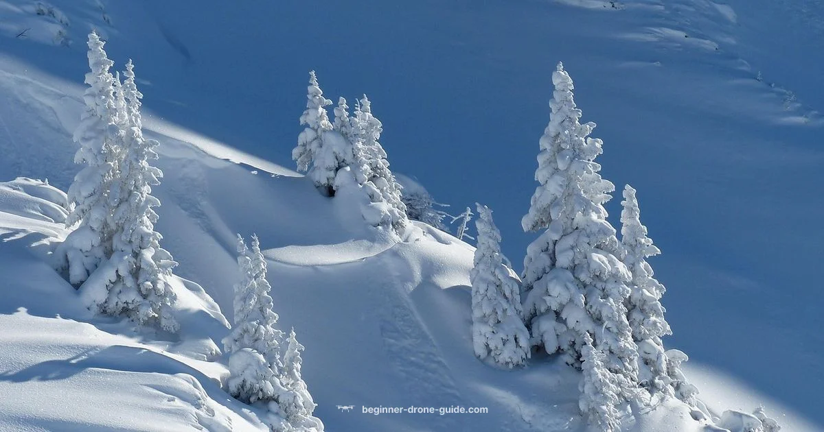 Winter Drone Flying - Beginner Drone Guide