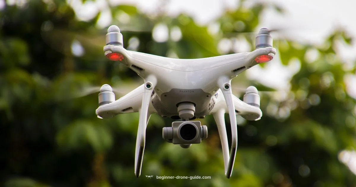 Good Camera Drone - Beginner Drone Guide