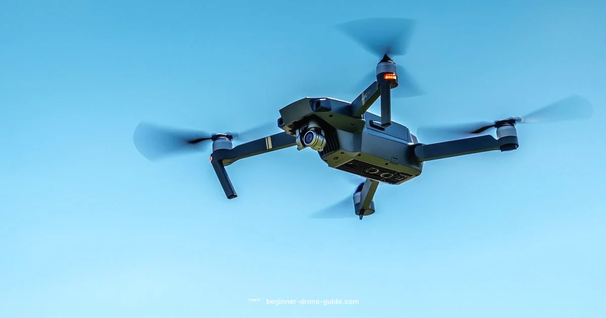 Recreational Licensing - Beginner Drone Guide