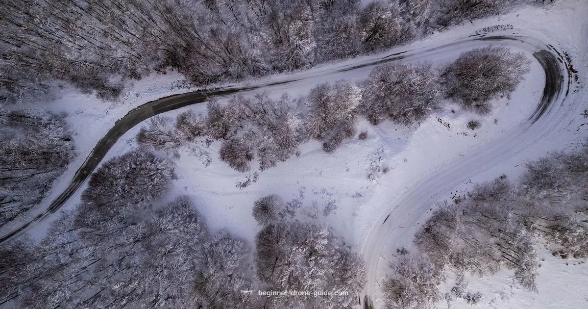 Find a Crashed DJI - Beginner Drone Guide