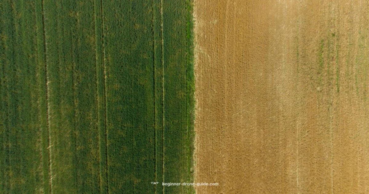 Drone Size Guide - Beginner Drone Guide