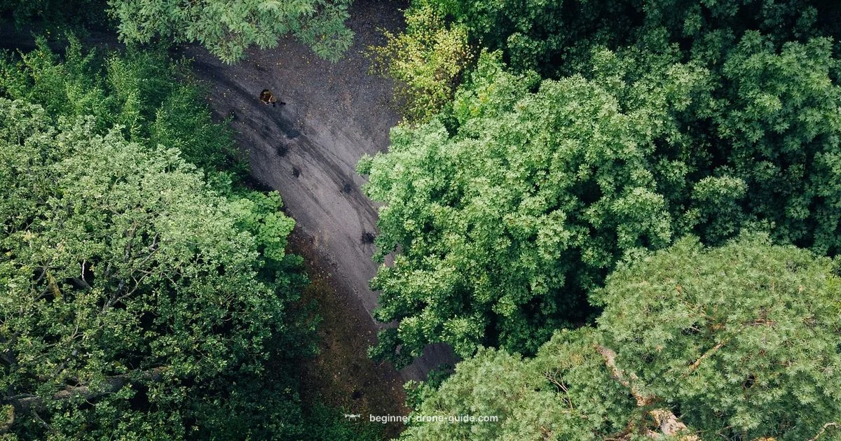 Drone Rescue Guide Drone Rescue Guide - Beginner Drone Guide