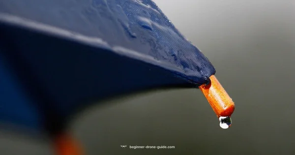 Rain Flight Guide - Beginner Drone Guide