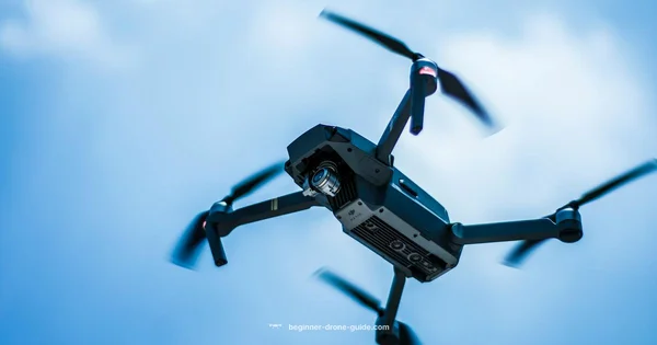 Thermal Drones 101 - Beginner Drone Guide