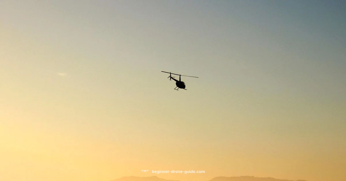 Drone vs Helicopter - Beginner Drone Guide