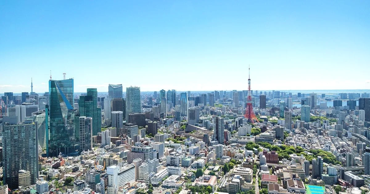 Drones Everywhere - Beginner Drone Guide