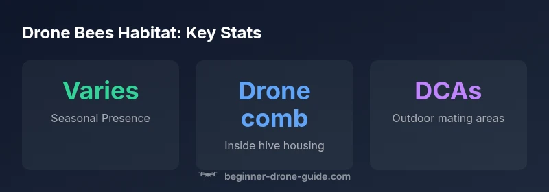 Infographic showing drone bee living patterns in hive and DCAs