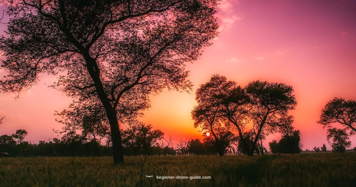 Pakistan Drone Landscape - Beginner Drone Guide