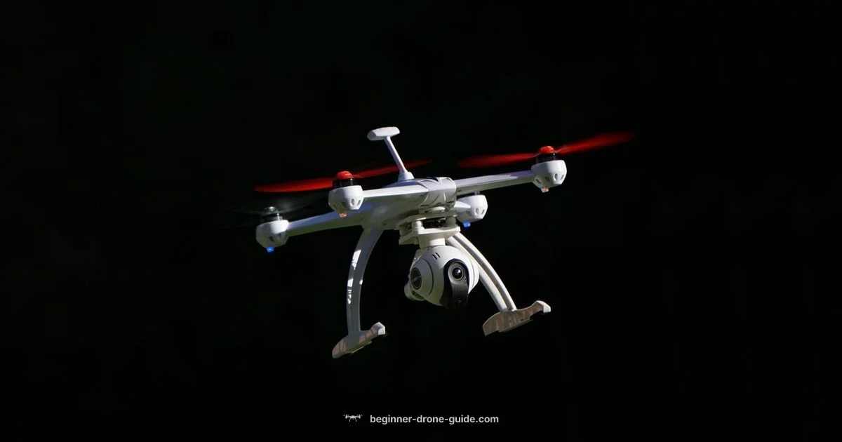 ESC Setup ESC Setup - Beginner Drone Guide