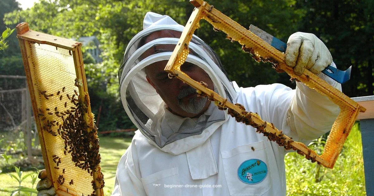 Drone-Laying Guides - Beginner Drone Guide