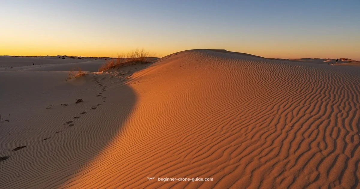 Texas Drone Guide - Beginner Drone Guide