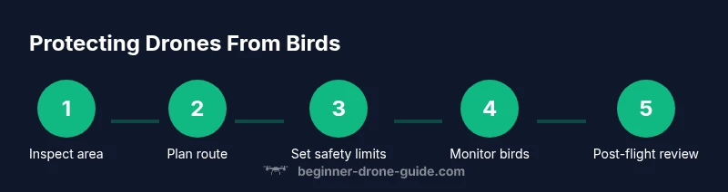 Process showing steps to protect drone from birds