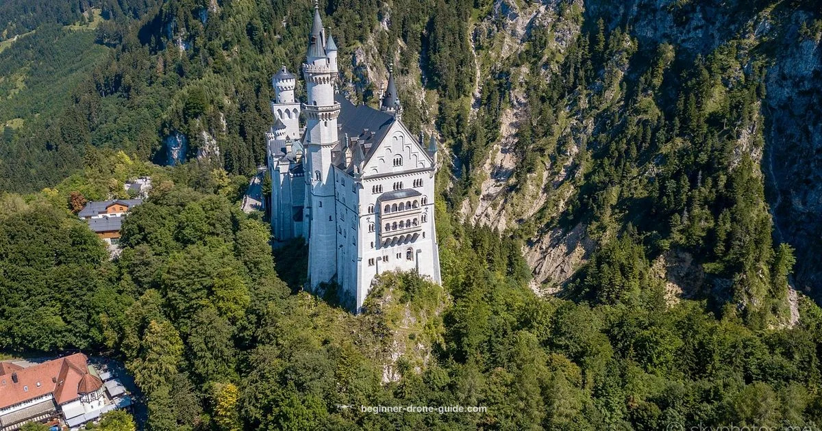 Drone Renewal Basics - Beginner Drone Guide