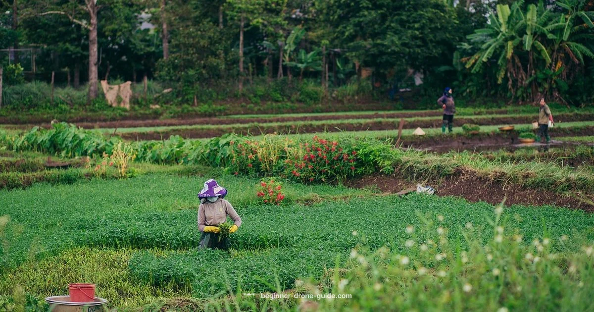 Drone Insurance Guide - Beginner Drone Guide