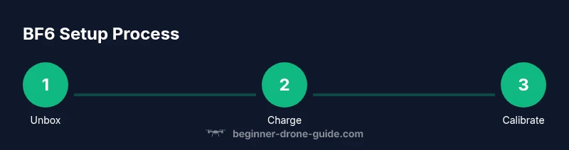 BF6 setup process infographic