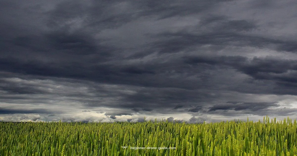 Lightning and Drones - Beginner Drone Guide