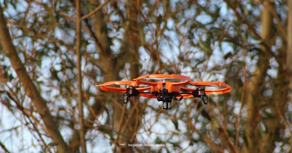 Smart Drone Buying Smart Drone Buying - Beginner Drone Guide