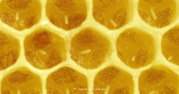 Bees in Nuptial Flight - Beginner Drone Guide