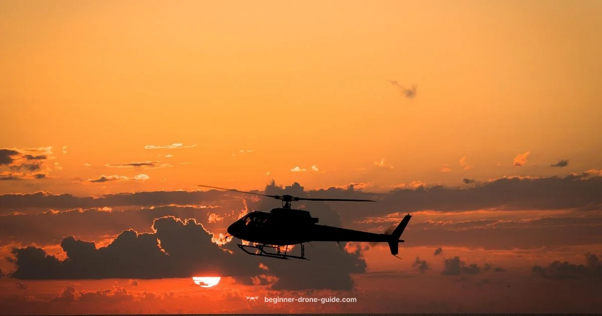 Drone Use Guide Drone Use Guide - Beginner Drone Guide