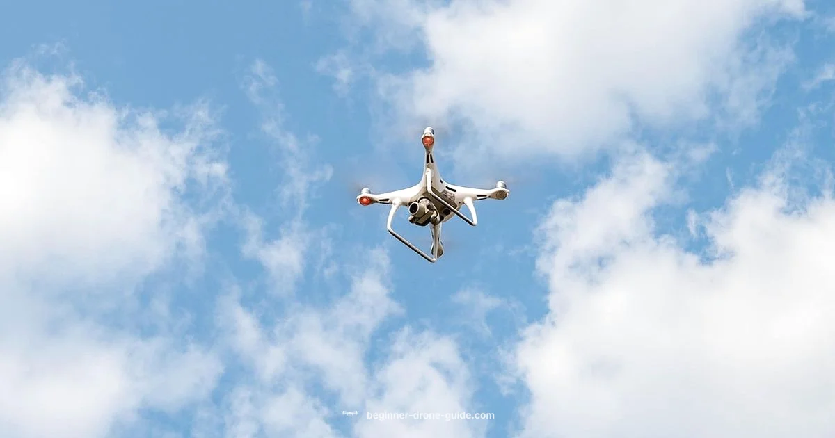 Drone Hunting Guide - Beginner Drone Guide