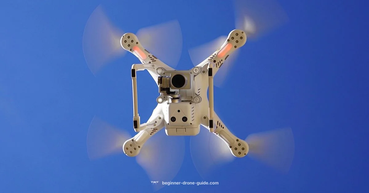 Drones in Sky - Beginner Drone Guide