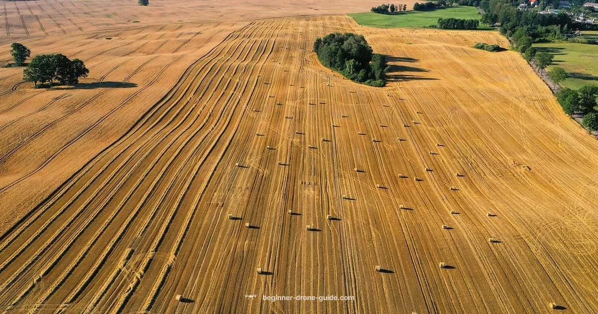 Drift-Free Drone Flight Drift-Free Drone Flight - Beginner Drone Guide