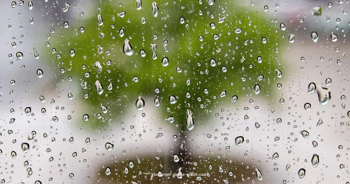 Rain‑Ready Flying - Beginner Drone Guide