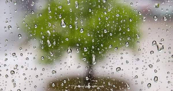 Rain‑Ready Flying - Beginner Drone Guide