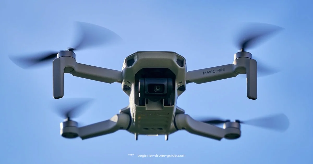 DJI Mini 4K Guide - Beginner Drone Guide