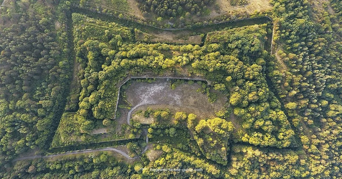 Drone Data - Beginner Drone Guide