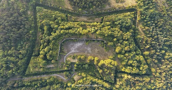 Drone Data - Beginner Drone Guide