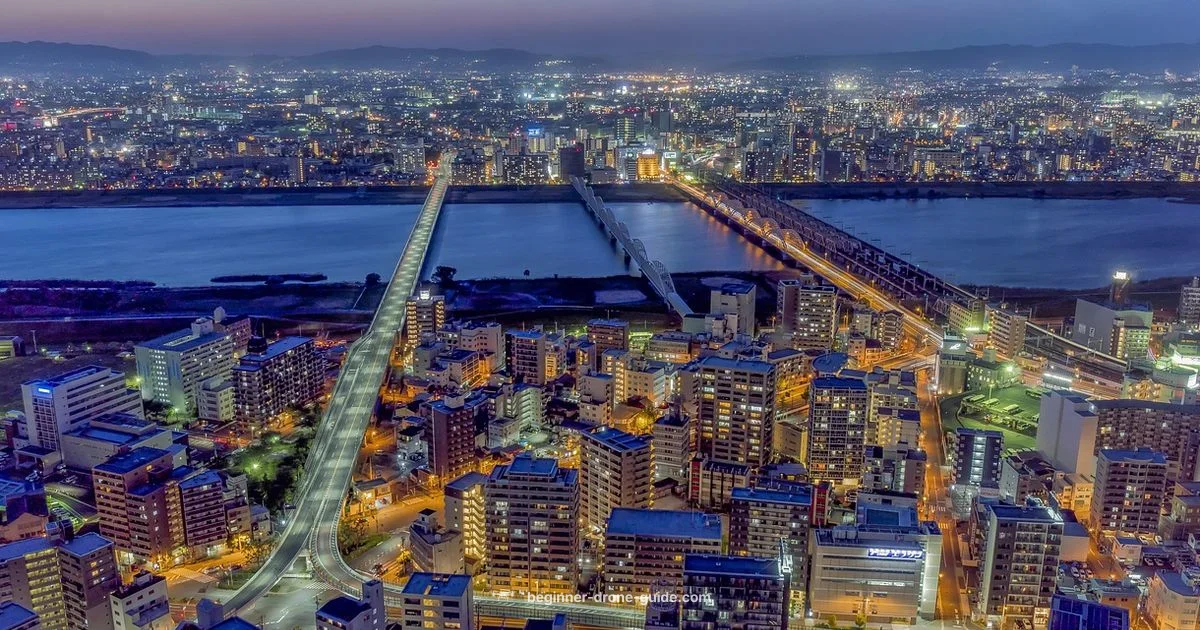 Night Flight Guide Night Flight Guide - Beginner Drone Guide