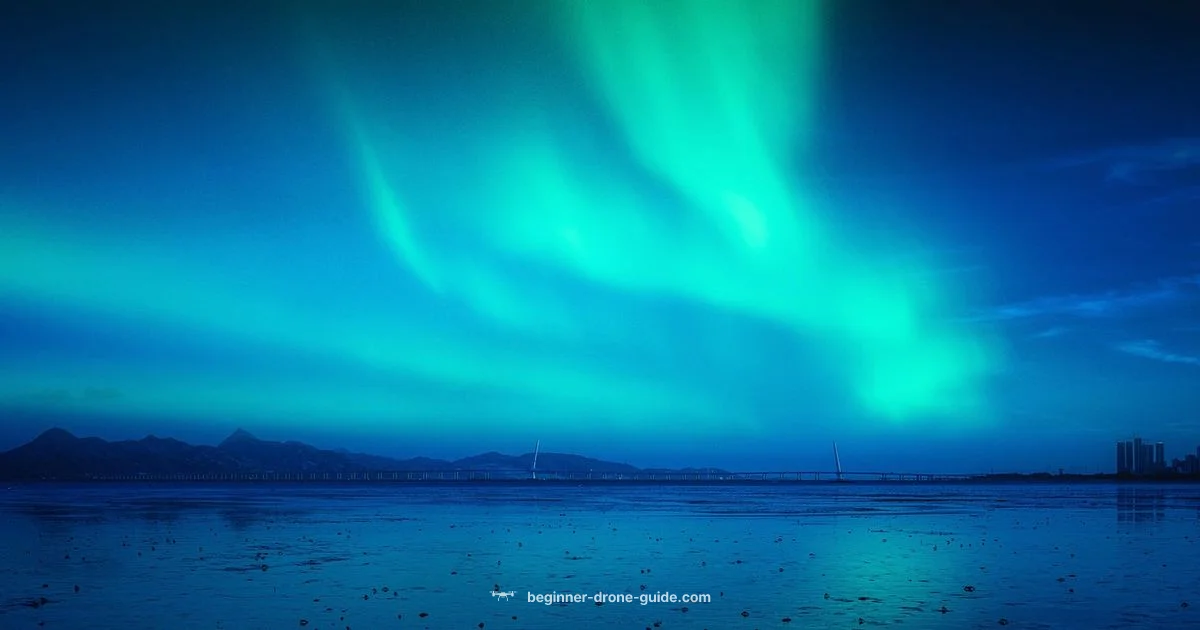 Today’s Drone Shows - Beginner Drone Guide