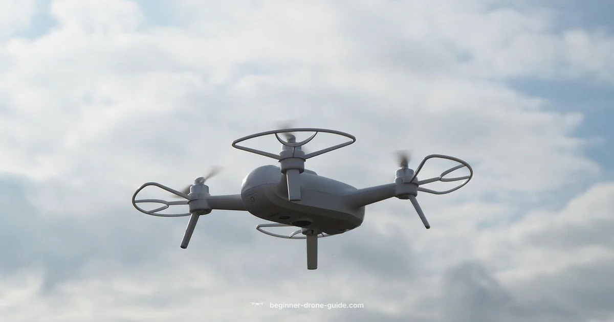 Drones Work 101 Drones Work 101 - Beginner Drone Guide