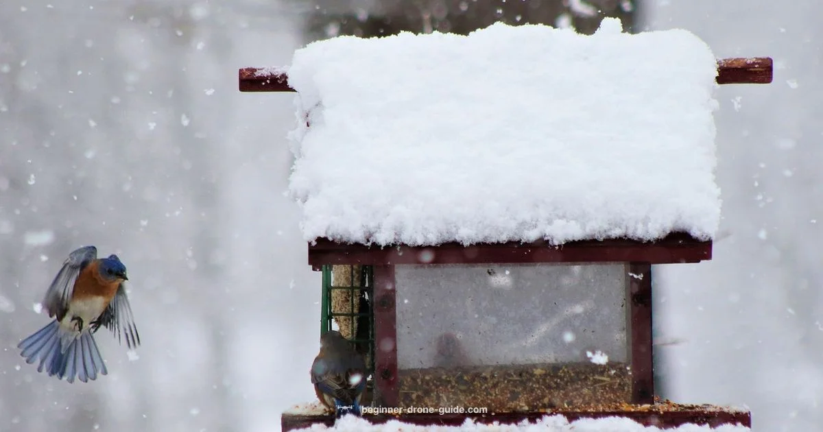 Snow Flight Guide - Beginner Drone Guide