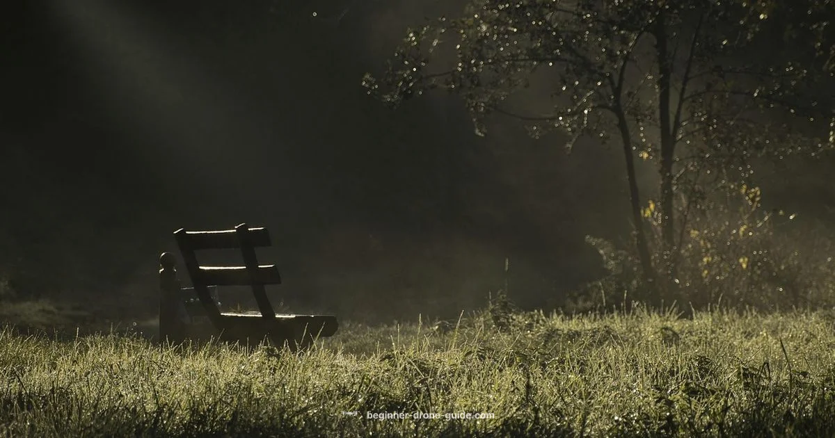 Understanding Quiet Drones Understanding Quiet Drones - Beginner Drone Guide